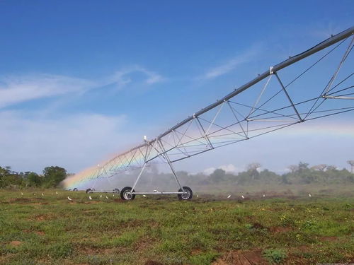 進城買房補5萬與征地補償政策下的機遇與挑戰